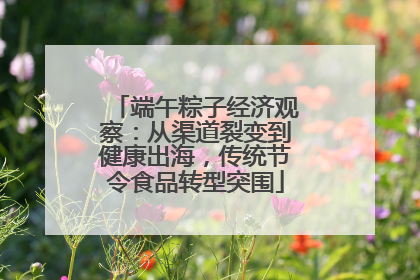 端午粽子经济观察：从渠道裂变到健康出海，传统节令食品转型突围