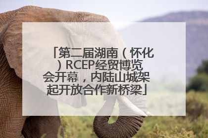 第二届湖南（怀化）RCEP经贸博览会开幕，内陆山城架起开放合作新桥梁
