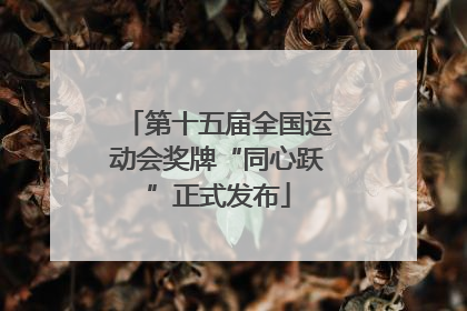 第十五届全国运动会奖牌“同心跃”正式发布
