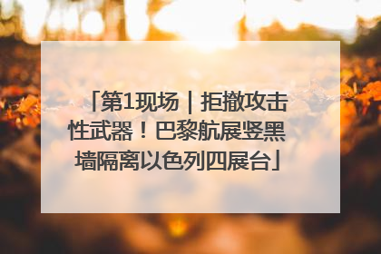 第1现场｜拒撤攻击性武器！巴黎航展竖黑墙隔离以色列四展台