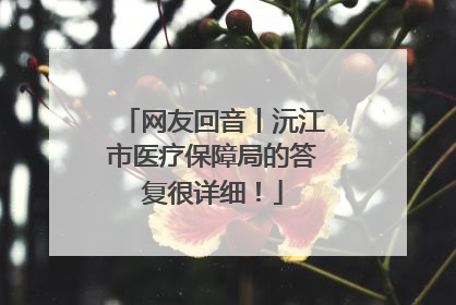 网友回音丨沅江市医疗保障局的答复很详细！