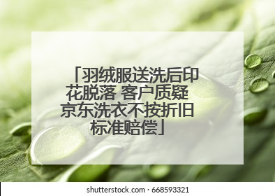 羽绒服送洗后印花脱落 客户质疑京东洗衣不按折旧标准赔偿