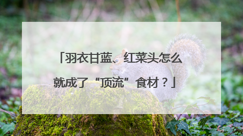羽衣甘蓝、红菜头怎么就成了“顶流”食材？