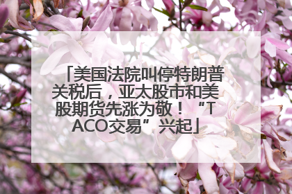 美国法院叫停特朗普关税后，亚太股市和美股期货先涨为敬！“TACO交易”兴起