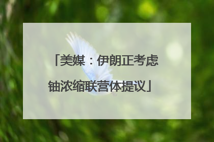 美媒：伊朗正考虑铀浓缩联营体提议