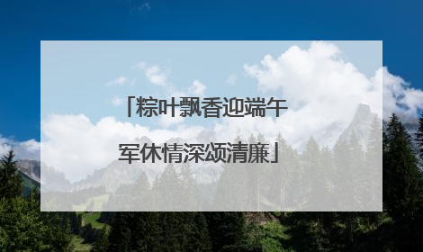 粽叶飘香迎端午 军休情深颂清廉