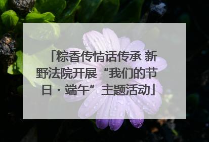 粽香传情话传承 新野法院开展“我们的节日・端午”主题活动