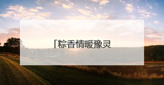 粽香情暖豫灵镇敬老院 端午敬老意满桑榆
