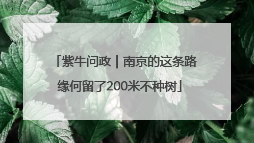 紫牛问政｜南京的这条路缘何留了200米不种树