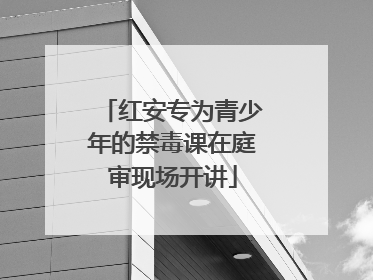 红安专为青少年的禁毒课在庭审现场开讲