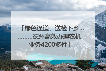 绿色通道、送检下乡…………德州高效办理农机业务4200多件