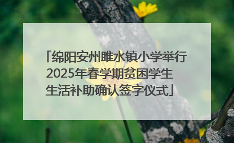 绵阳安州雎水镇小学举行2025年春学期贫困学生生活补助确认签字仪式
