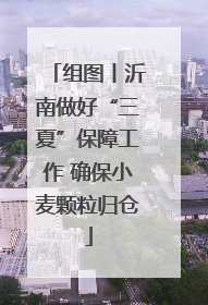 组图丨沂南做好“三夏”保障工作 确保小麦颗粒归仓
