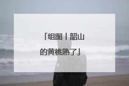 组图丨韶山的黄桃熟了