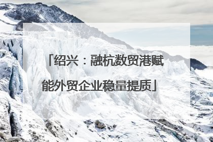 绍兴：融杭数贸港赋能外贸企业稳量提质