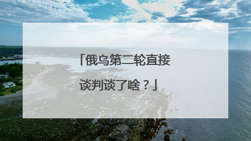 俄乌第二轮直接谈判谈了啥？