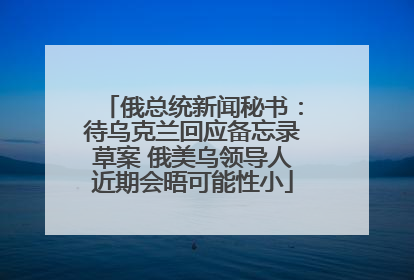 俄总统新闻秘书：待乌克兰回应备忘录草案 俄美乌领导人近期会晤可能性小