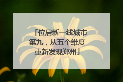位居新一线城市第九，从五个维度重新发现郑州