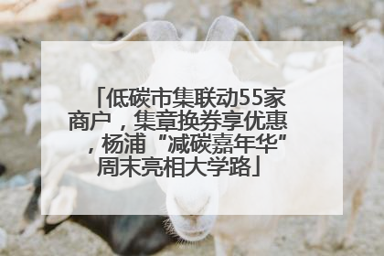 低碳市集联动55家商户，集章换券享优惠，杨浦“减碳嘉年华”周末亮相大学路
