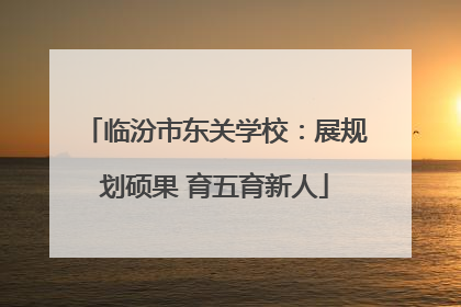 临汾市东关学校：展规划硕果 育五育新人