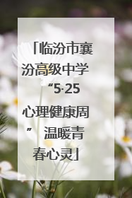临汾市襄汾高级中学“5·25心理健康周” 温暖青春心灵