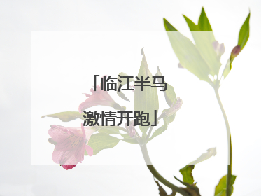 临江半马激情开跑