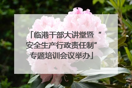 临港干部大讲堂暨“安全生产行政责任制”专题培训会议举办