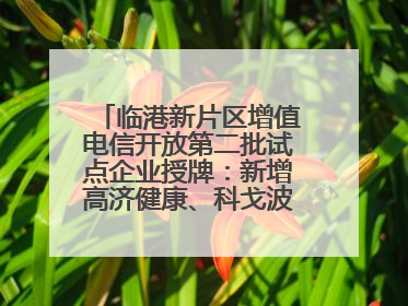 临港新片区增值电信开放第二批试点企业授牌：新增高济健康、科戈波特两家