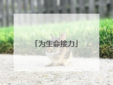 为生命接力