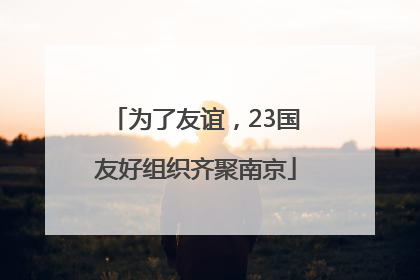 为了友谊，23国友好组织齐聚南京