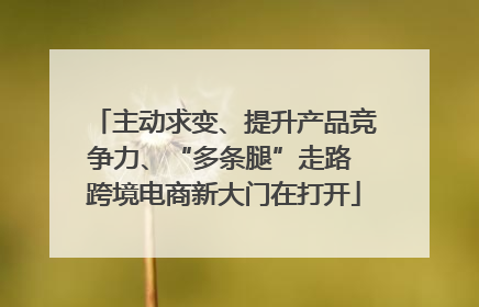主动求变、提升产品竞争力、“多条腿”走路 跨境电商新大门在打开