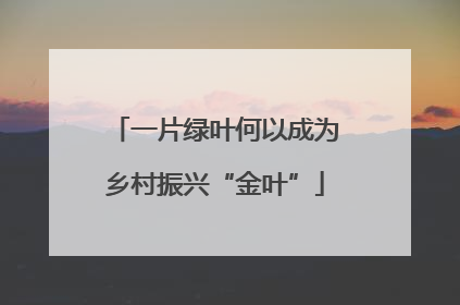 一片绿叶何以成为乡村振兴“金叶”