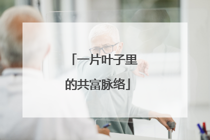 一片叶子里的共富脉络