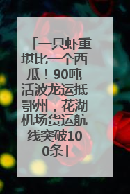 一只虾重堪比一个西瓜！90吨活波龙运抵鄂州，花湖机场货运航线突破100条