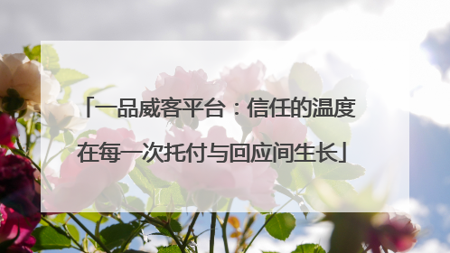 一品威客平台：信任的温度 在每一次托付与回应间生长