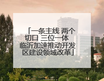 一条主线 两个切口 三位一体 临沂加速推动开发区建设领域改革