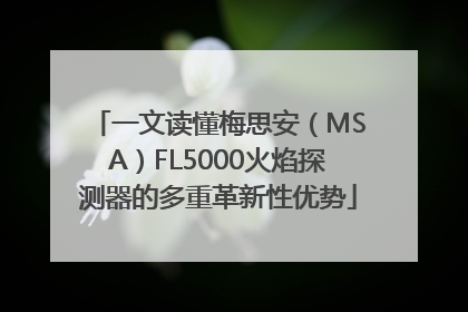 一文读懂梅思安（MSA）FL5000火焰探测器的多重革新性优势