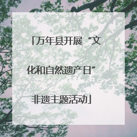 万年县开展“文化和自然遗产日”非遗主题活动