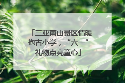 三亚南山景区情暖抱古小学，“六一”礼物点亮童心