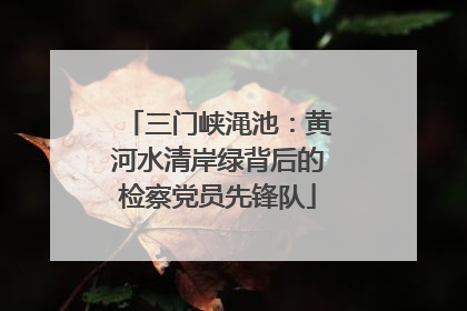 三门峡渑池：黄河水清岸绿背后的检察党员先锋队