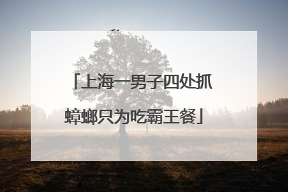 上海一男子四处抓蟑螂只为吃霸王餐
