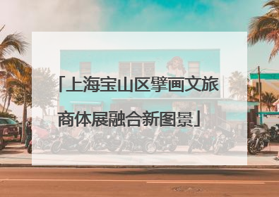 上海宝山区擘画文旅商体展融合新图景