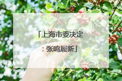 上海市委决定：张鸣履新