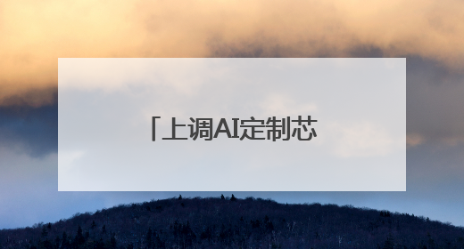 上调AI定制芯片市场目标、算力持续增加，英伟达的对手发起挑战