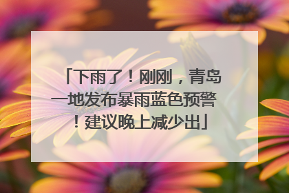 下雨了！刚刚，青岛一地发布暴雨蓝色预警！建议晚上减少出
