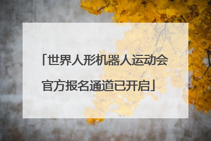 世界人形机器人运动会官方报名通道已开启