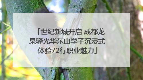 世纪新城开启 成都龙泉驿光华东山学子沉浸式体验72行职业魅力