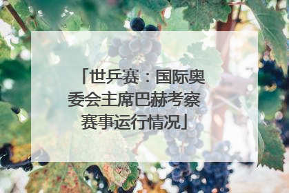 世乒赛：国际奥委会主席巴赫考察赛事运行情况