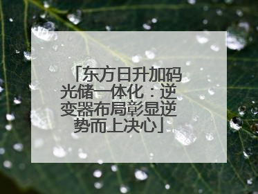 东方日升加码光储一体化：逆变器布局彰显逆势而上决心