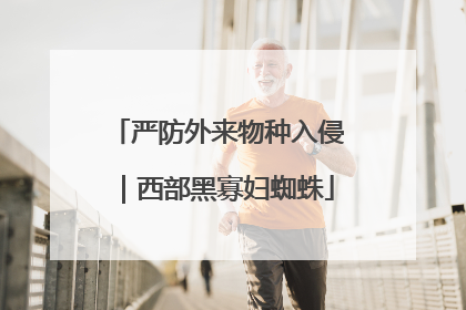 严防外来物种入侵｜西部黑寡妇蜘蛛